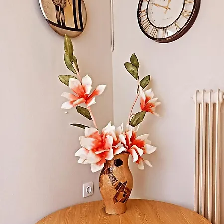 The Bright House Of Apartment *